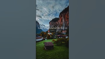 القران الكريم 🌿 سورة المؤمنون 🌿 القارئ ياسر الدوسري 🌿🌿 #القرآن_الكريم #اكسبلور #السعودية #راحة_نفسية