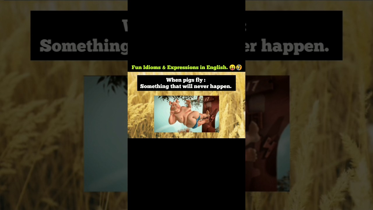 Fun Idioms & Expression in English | Meanings | Examples 