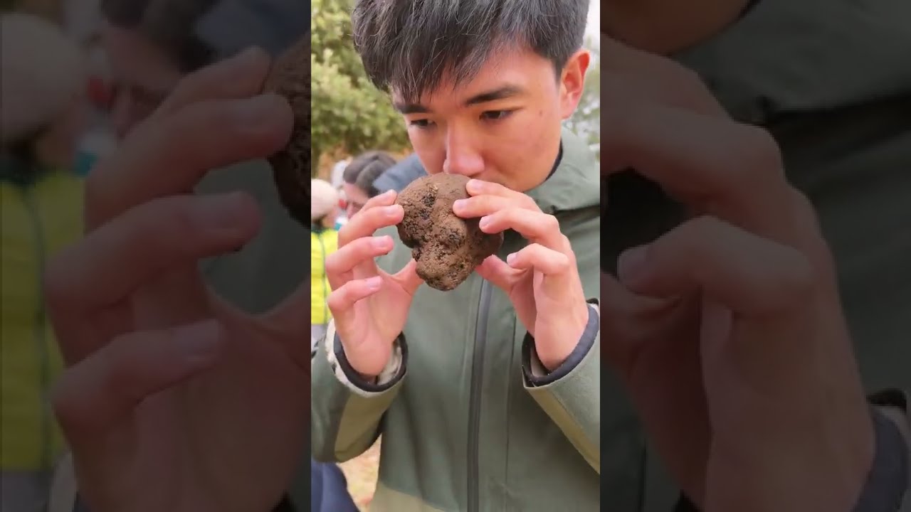 Truffle Hunting in Australia?