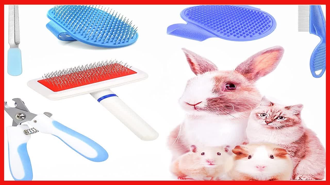 Quality product -  Crafterlife Rabbit Grooming Kit with Slicker Rabbit Brush Bath Massage Glove Brus