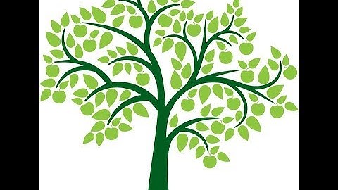 Forest Optimization Algorithm - Introduction