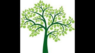 Celebrity Forest Optimization Algorithm - Introduction Net Worth