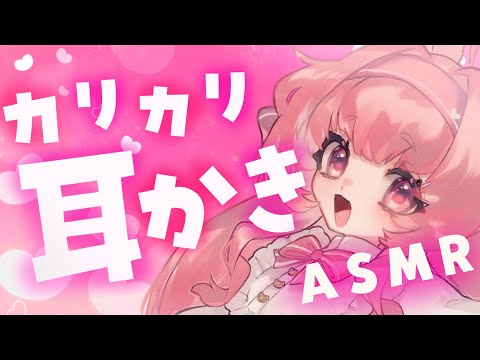 【甘々ASMR/黒3dio/ノイキャン無し生音】カリカリゴリゴリ耳かき❤　＃くまくまたいむ【日色くま】