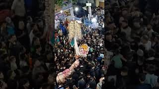 Amroha Juloos 2023 Zuljana Taboot Alam Matam Muharram 2023 Amroha Azadari 2023