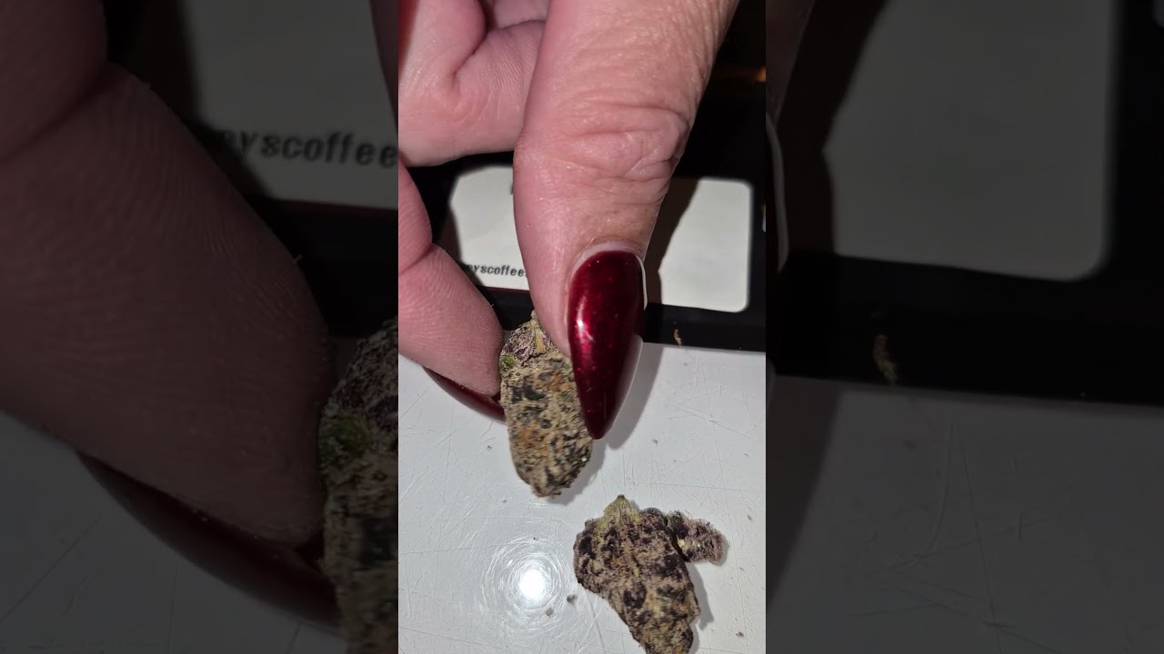 Papaya frosting a Barneys farm and Doja colab cali exclusive