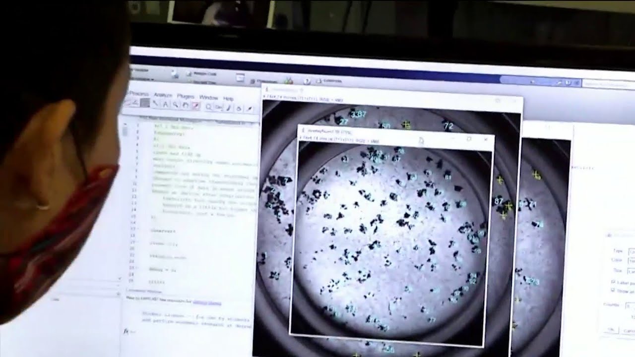 Delta variant vanishes from Altamonte Springs-area wastewater, but COVID levels remain high