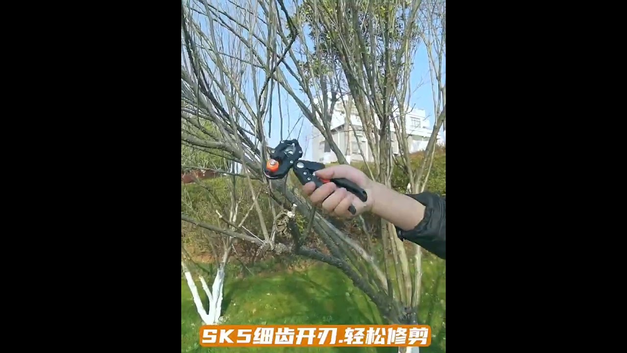 Orchard Scissors Factory (과수원 가위 제조 공장 )