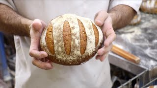 The science of sourdough bread