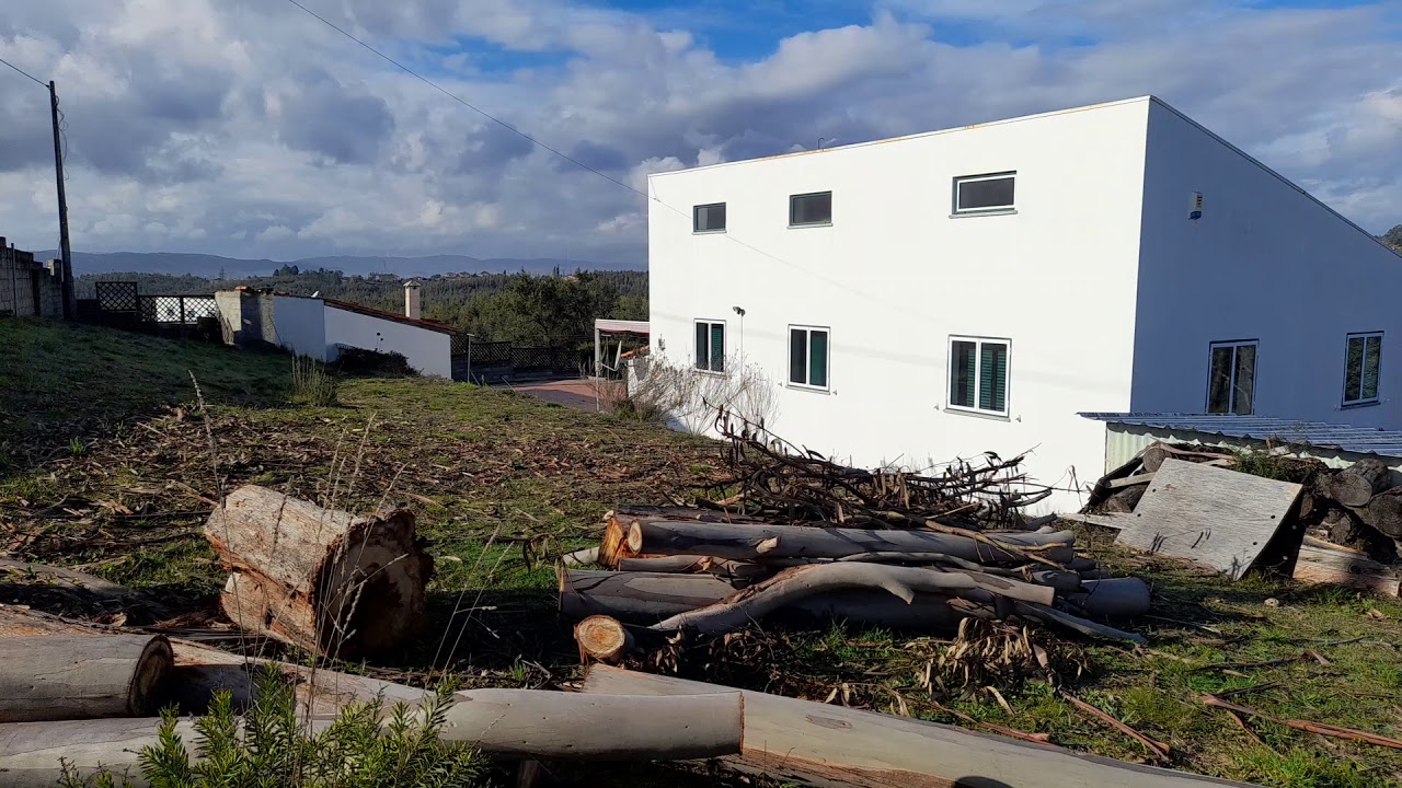 bos hout voor de deur - YouTube