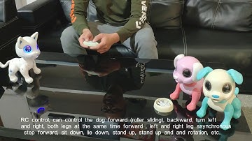 Video   RC2140G RC programmable actions puppy   Huajia company