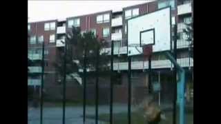 Sb.nl Online Dunk Contest Kiwi