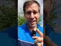 Ansteckung mit den Hantavirus bei der Gartenarbeit! #gartenarbeit #garten #gartentipps #hantavirus