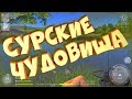 Фарм сазана на реке Сура • Русская рыбалка 4 • Ловля фидером