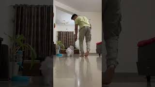 #shorts | Teaching Maltese #puppy | How to Stop Puppy from Jumping on Us? | Lesson 1