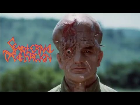 Sempiternal Deathreign – The Spooky Gloom | Releases | Discogs