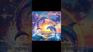 Hayat Çok Sıkıcıceys Ökçen Önge