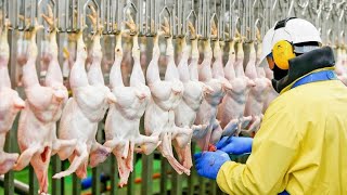 Chicken Meat Process | inside chicken Factory 
