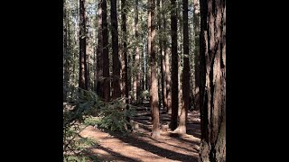 Celebrity jd - just make it to february Wealth