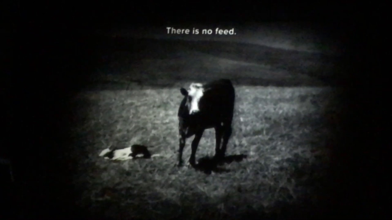 The dust bowl at the Colorado history museum