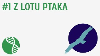 Z Lotu Ptaka Ptaki