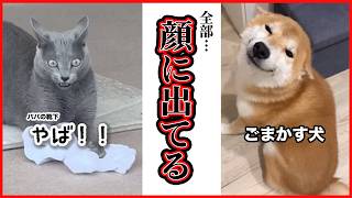 【全部、顔に出てる】それでも愛おしい🥹💕｜PECO