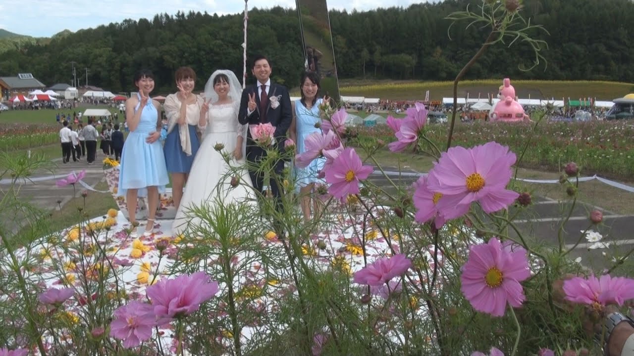 コスモス１千万本見ごろ 北海道遠軽町 結婚式も Youtube