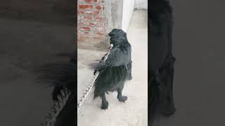 Mera diamond key new new video Dekh Ke liye please mujhe like comment ￼ or subscribe Karen
