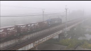警笛を鳴らして濃霧の中へ消えてゆくEF210牽引の貨物列車