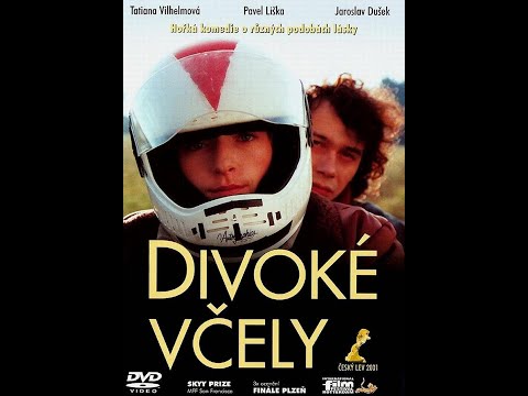 Divoké včely