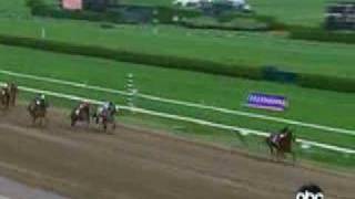 2007 Go For Wand Handicap