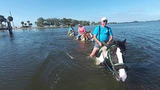CPonies
