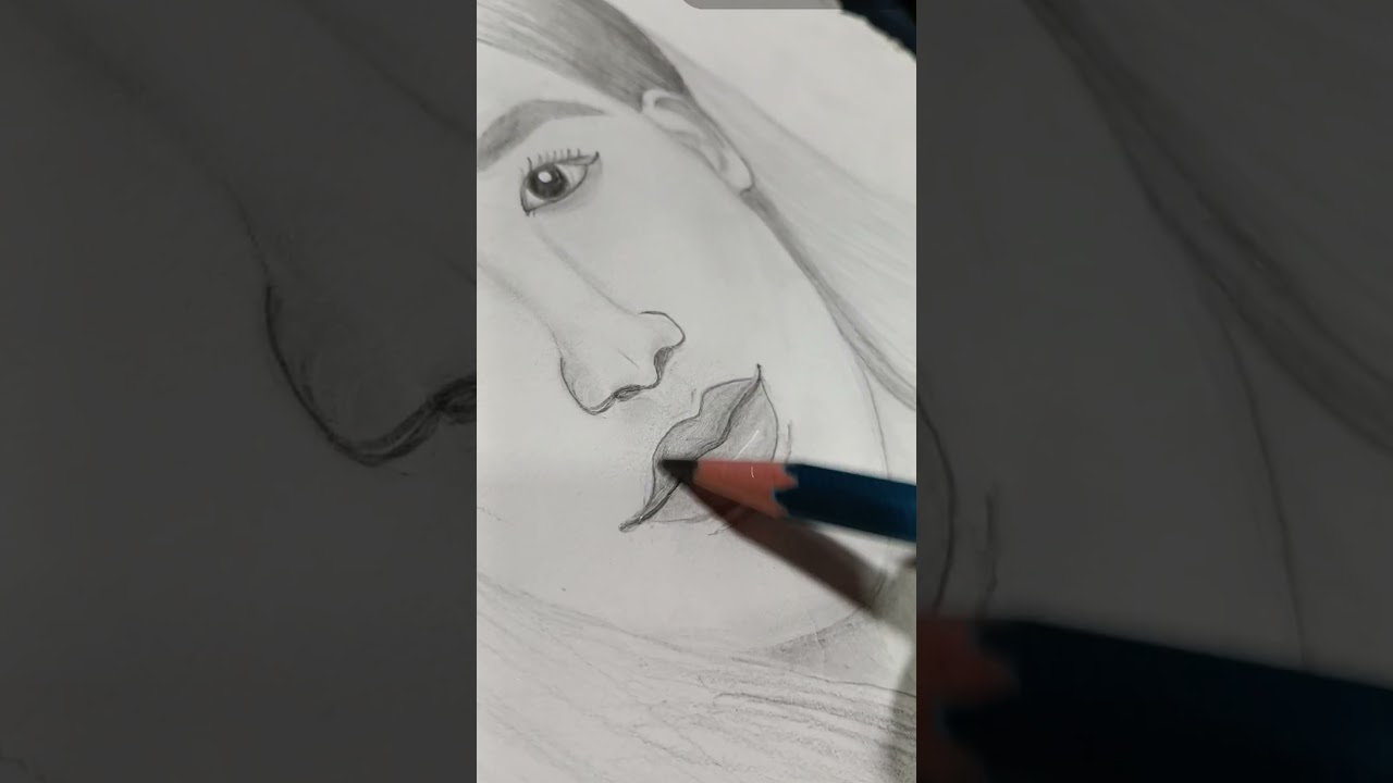 black pink rose sketch l