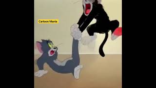 Latest Tom And Jerry Cartoon Cartoon Maniakids Video