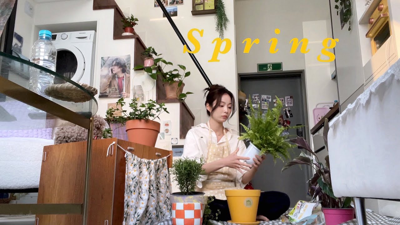 🌸봄맞이 집꾸미기, 분갈이,식물쇼핑🌱