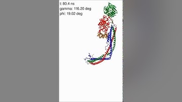The Internal Dynamics of Fibrinogen and Its Implications for Coagulation and Adsorption