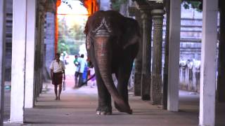 Muthumayil Eri Varum | Tamil Hindu Devotional Song | Pushpavanam K.Kuppuswamy