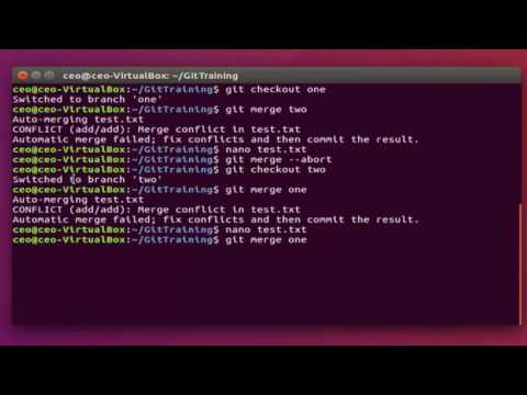 Tier5 -  Git Training: Merge Conflicts Fast and Easy