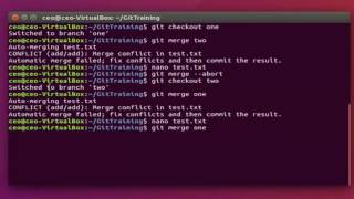 Tier5 -  Git Training: Merge Conflicts Fast and Easy