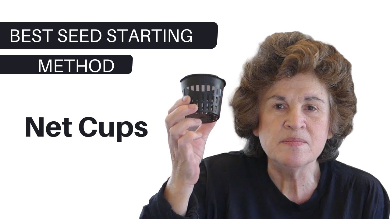 Best Indoor Seed Starting Method: Reusable Net Cups