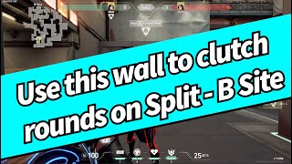 Sage Wall Split B Default