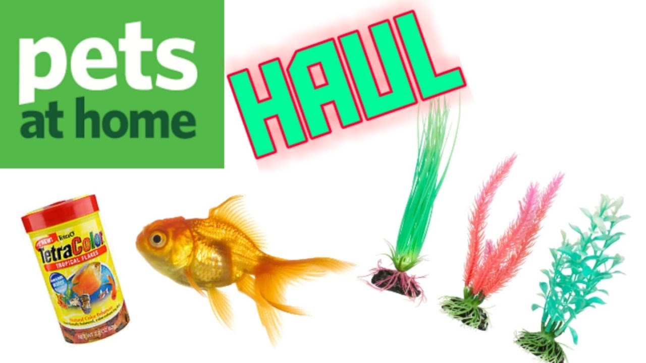 wonder video editor PETS AT HOME HAUL~11