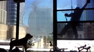 Bea Trying To Do Her Job