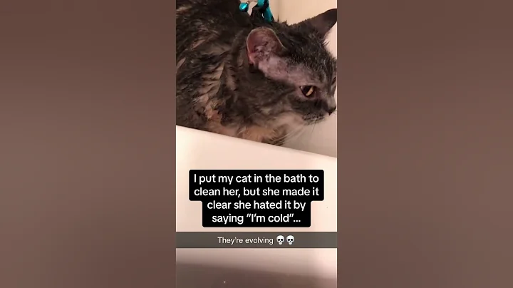 Video 7634631: cat vs bathtub, bathtub cat funny