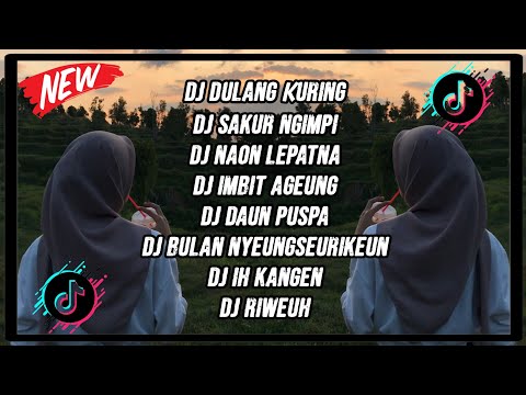 DJ DULANG KURING [MIXTAPE] - REMIX BOOTLEG RAKA PUTRA SUNDA PRIDE