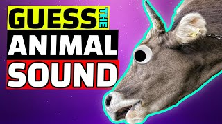 Guess the Animal Sound Quiz