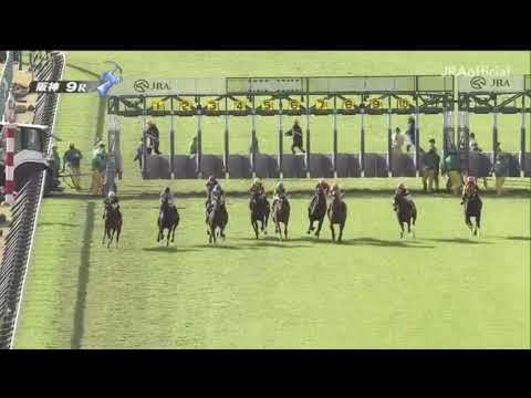 白菊賞 2020 パトロールビデオ 【エイシンヒテン】
