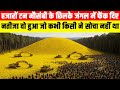 जंगल में हजारों टन मौसंबी के छिलके फ़ेंक दिए , नतीजा देखकर वैज्ञानिक भी हैरान थे