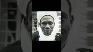 The first and perhaps only prime minister in Nigeria #fypシ #funny #trendingshorts