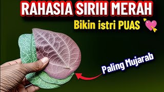 RAMUAN TERDAHSYAT BIKIN ISTRI PUAS ‼️RAHASIA KHASIAT 3 LEMBAR DAUN SIRIH MERAH 