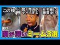 流行の裏に潜む闇…人気ミームのヤバすぎる真実に迫る。【海外ミーム解説】